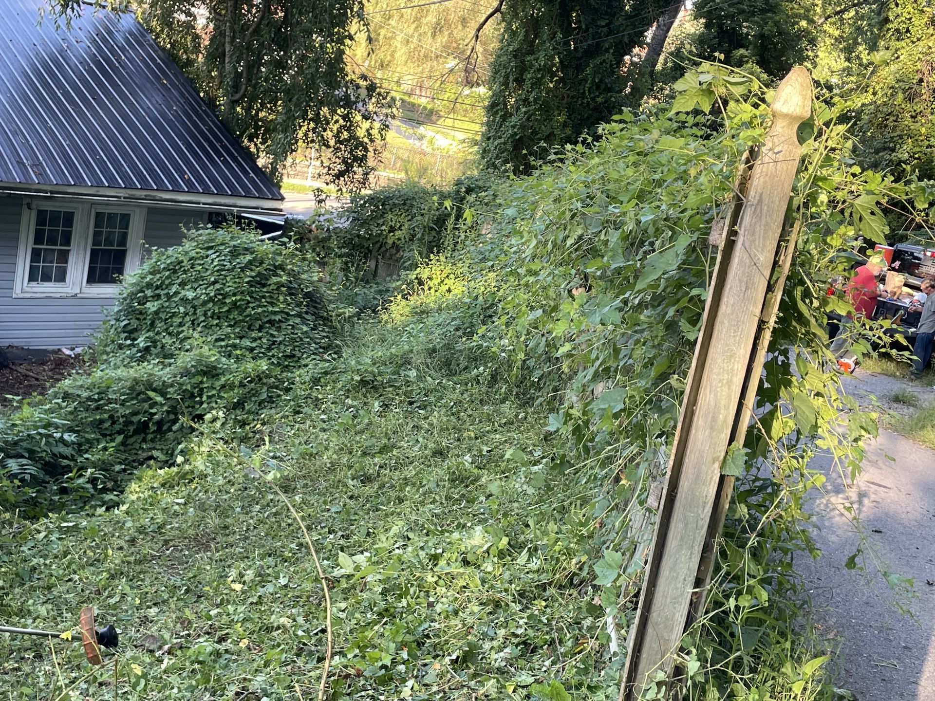 PMH Tree Service LLC product photo
