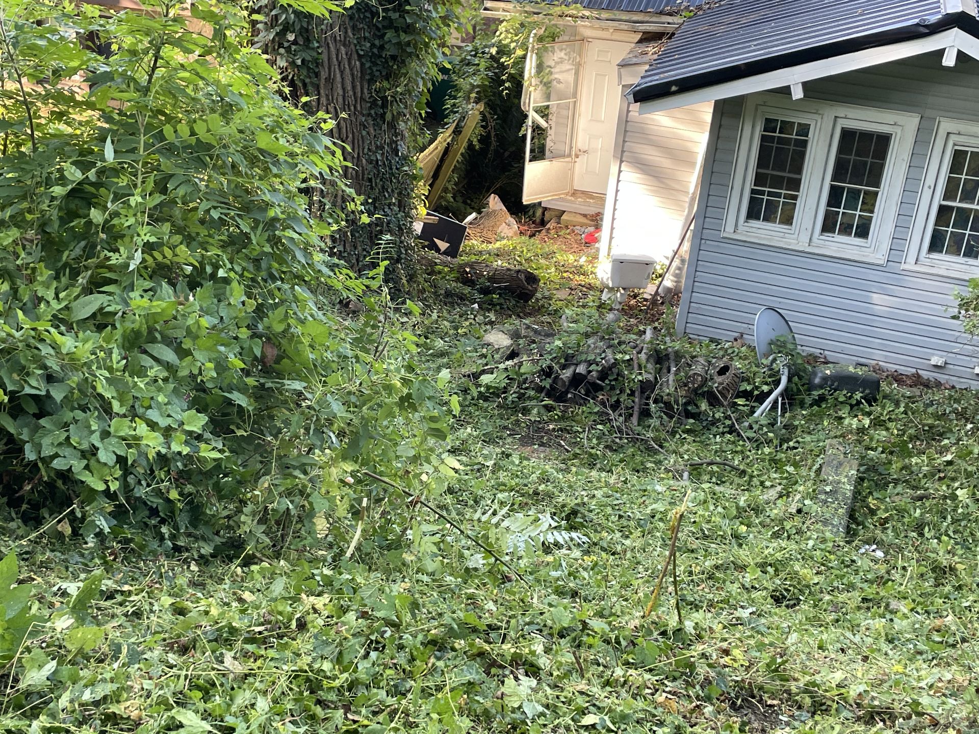 PMH Tree Service LLC product photo