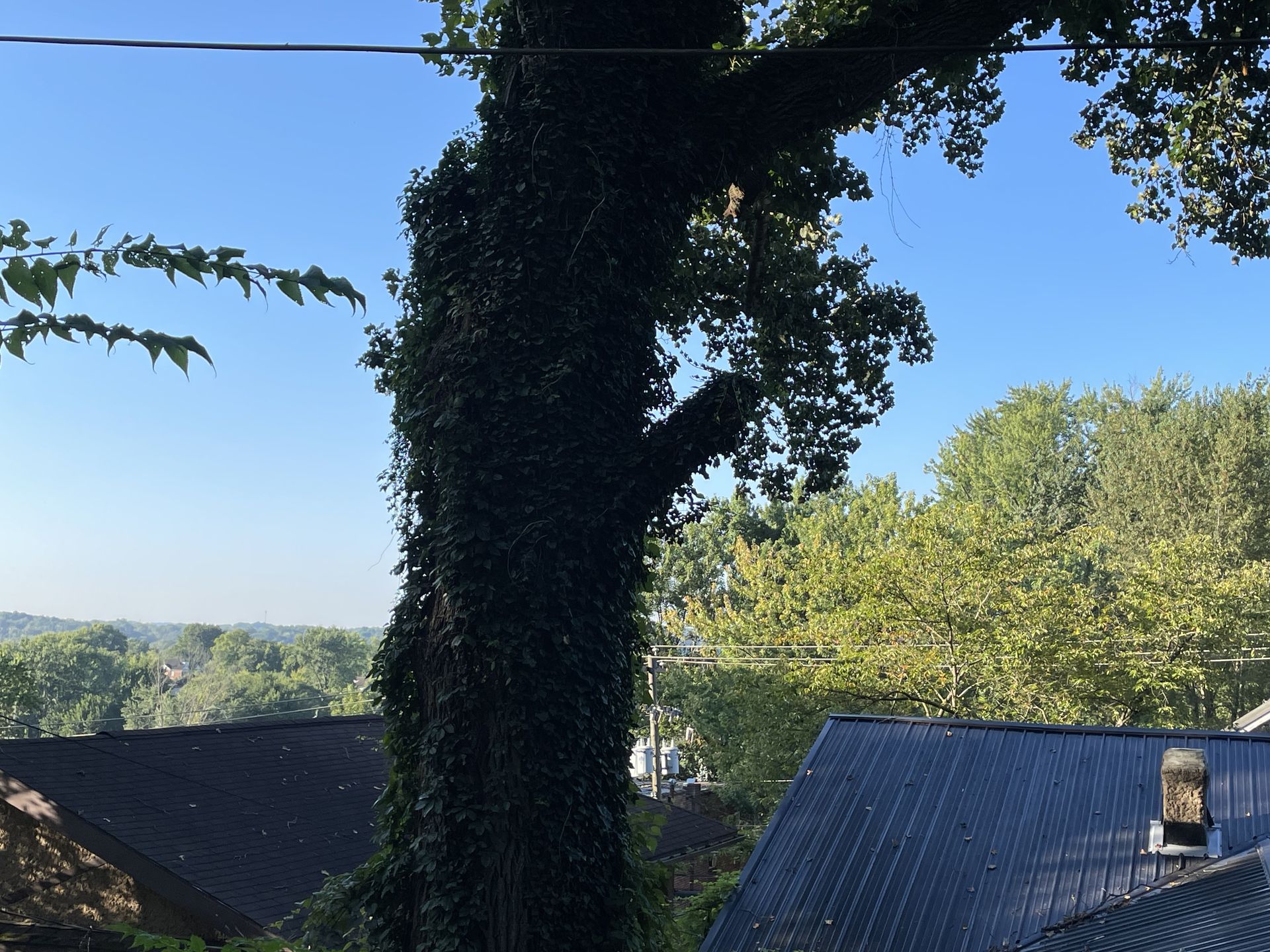 PMH Tree Service LLC product photo