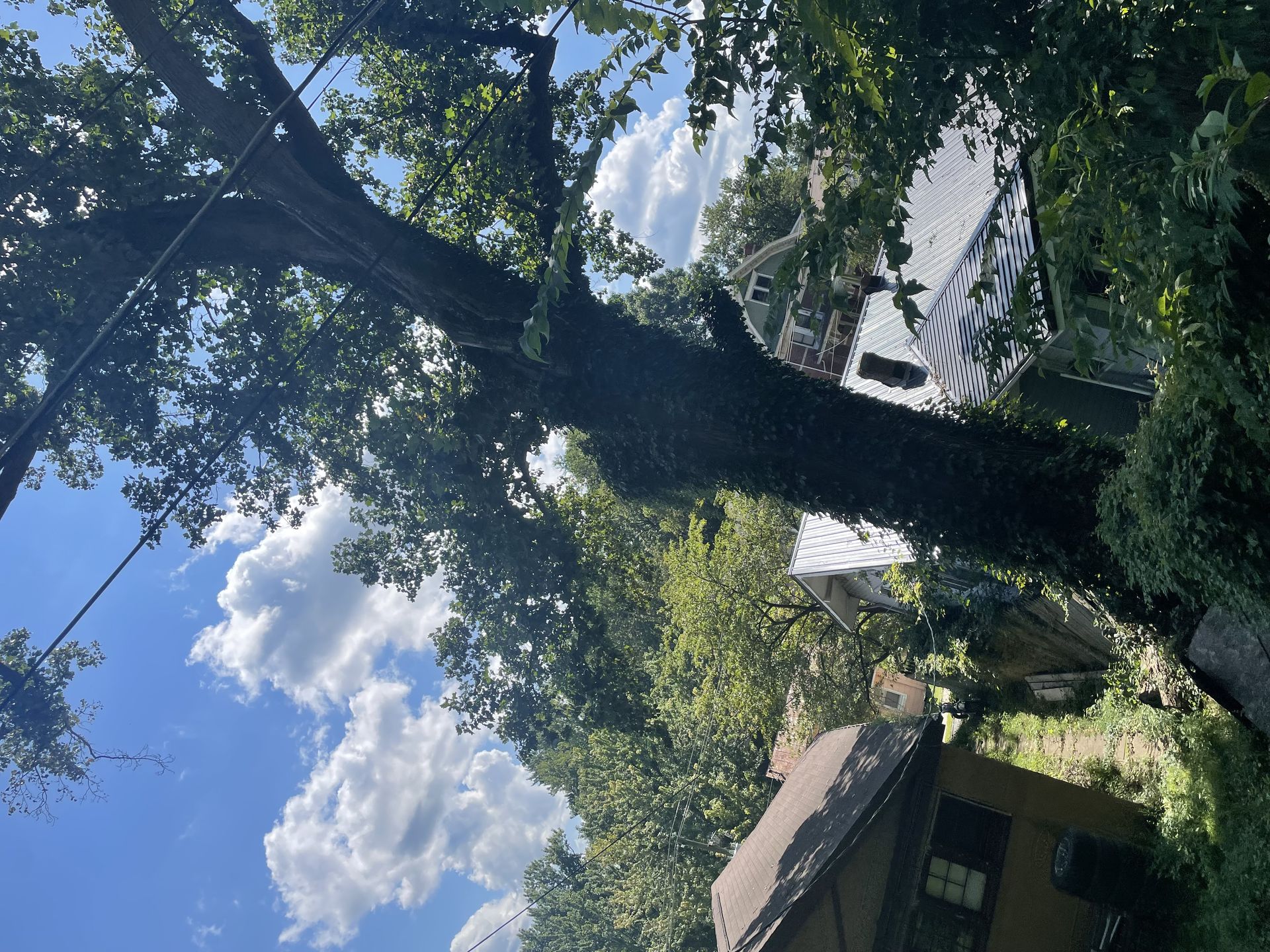 PMH Tree Service LLC product photo